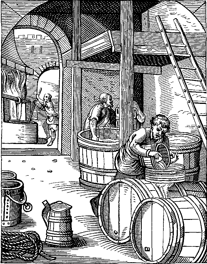 The Brewer The Brewer